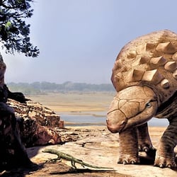 Panoplosaurus pictures