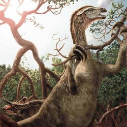 Nothronychus pictures