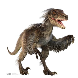 Velociraptor pictures