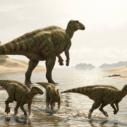 Aachenosaurus pictures