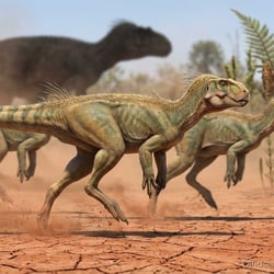 Abrictosaurus pictures