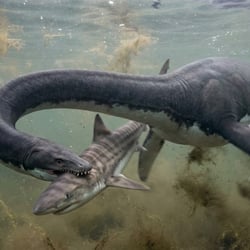 Albertonectes pictures