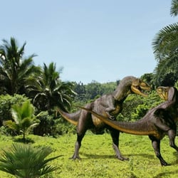 Alectrosaurus pictures