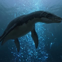 Alexandronectes pictures