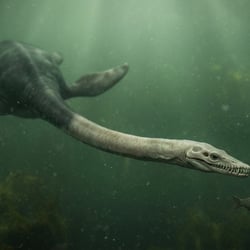 Alexeyisaurus pictures