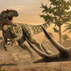 Allosaurus pictures