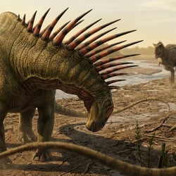 Amargasaurus pictures