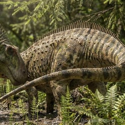 Amazonsaurus pictures