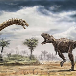 Ampelosaurus pictures