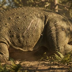 Anasazisaurus pictures