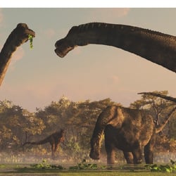 Antarctosaurus pictures