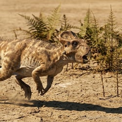 Archaeoceratops pictures