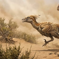 Archaeornithoides pictures