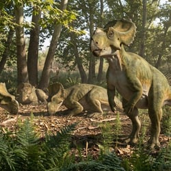 Asiaceratops pictures