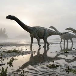 Atsinganosaurus pictures