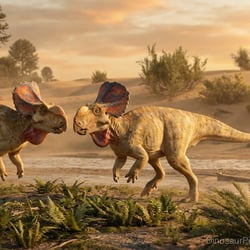 Bagaceratops pictures