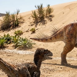 Bainoceratops pictures