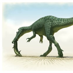 Baryonyx pictures
