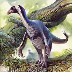 Beipiaosaurus pictures