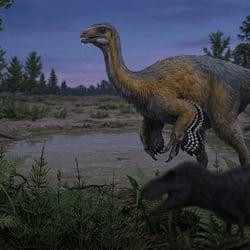 Beishanlong pictures