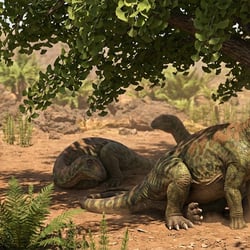 Bellusaurus pictures