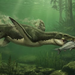 Bishanopliosaurus pictures