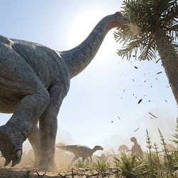 Brachiosaurus pictures