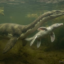 Brancasaurus pictures