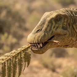 Brasilotitan pictures