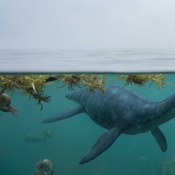 Brimosaurus pictures