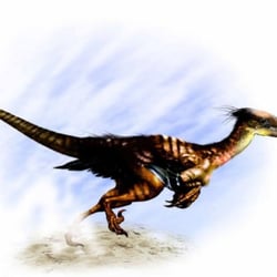 Buitreraptor pictures