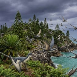 Cacibupteryx pictures