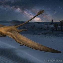 Caelestiventus pictures