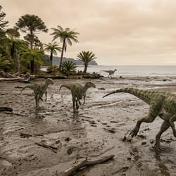 Callovosaurus pictures