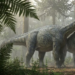 Camarasaurus pictures