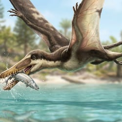 Carniadactylus pictures