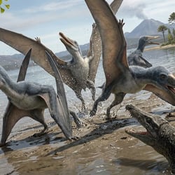 Cathayopterus pictures