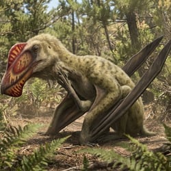 Caupedactylus pictures