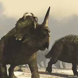 Centrosaurus pictures
