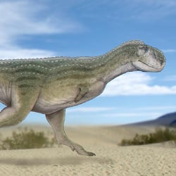 Chenanisaurus pictures