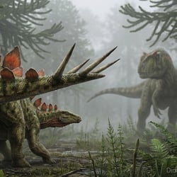 Chialingosaurus pictures