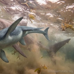 Cimoliasaurus pictures