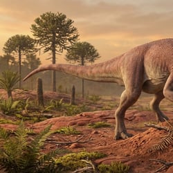 Coloradisaurus pictures