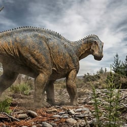 Comahuesaurus pictures