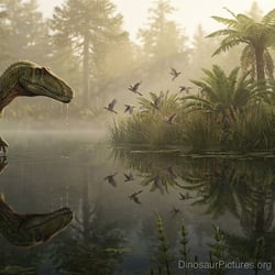 Concavenator pictures