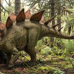 Craterosaurus pictures