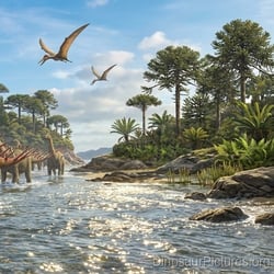 Dacentrurus pictures