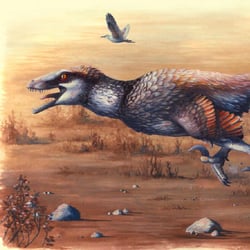 Dakotaraptor pictures