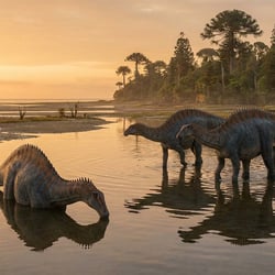 Dicraeosaurus pictures