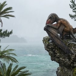 Dimorphodon pictures